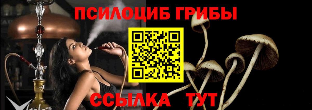 Галлюциногенные грибы MAGIC MUSHROOMS  Вход с VPN  Галлюциногенные грибы ЛСД  Нижнеудинск 
